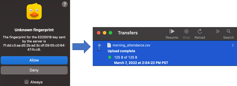 Set_up_file_transfer_9.png