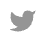 Twitter_icon.png